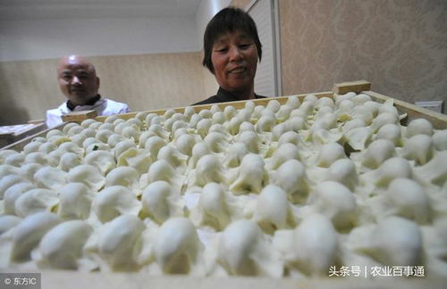 噪音1：砰砰砰…咔咔咔…嗡嗡嗡…我真的想写点东西但又没事写…啊哈哈哈…