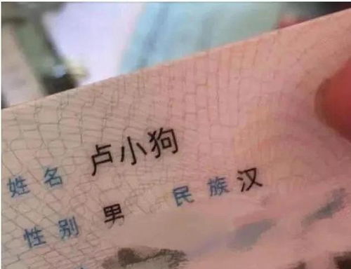 2026年韩姓女宝宝取名，有没有三个字霸气又好听的名字推荐？