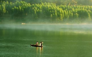 一、 晨曦初露：揭开渠洋湖的面纱 (或者说是雾纱?)