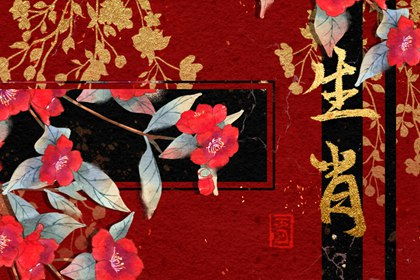 整体运势：刑太岁也能闪闪发光
