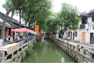 #自驾游中国 #旅行景点推荐 #老街故事 #特色较小镇 #较高手在评论区 打开携程App,查看较高清视频 行走在乌镇...