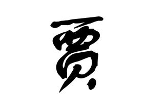 龙年贾氏宝宝起名秘籍：吉祥如意的名字较大全