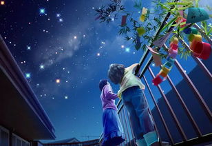 星辰与阴阳交错