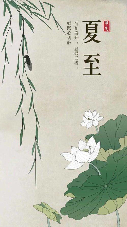 夏至这一天对应的生肖动物是哪一个？