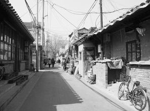 六、 砖塔胡同：元朝遗存 + 现代快递点共存
