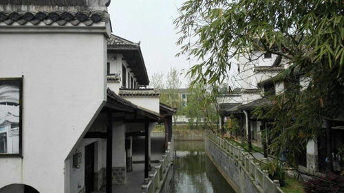 1. 湘菜风味
