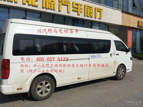 新能源的美丽谎言