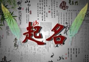 八字算命为什么不愿意给我起名？有没有什么讲究？