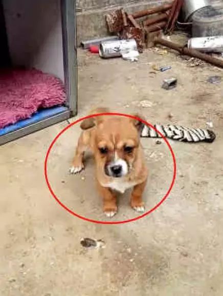 3.1 地下室里的阴影棋局