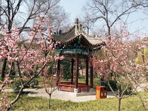 踏春之旅，从古韵出发
