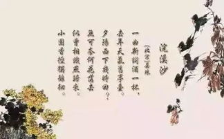 起名改名的艺术