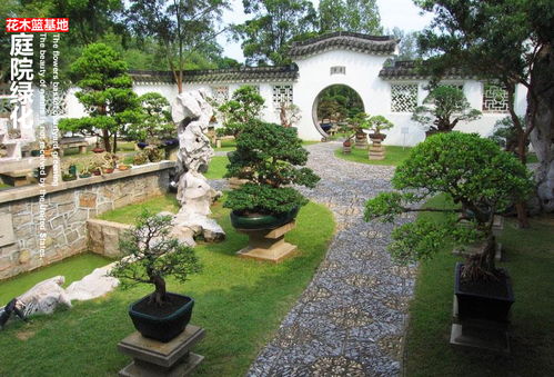 白山庄园,白山庭院风水好吗