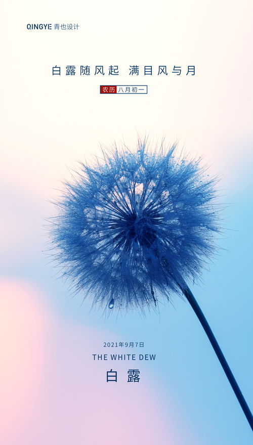 秋分：白露的好基友