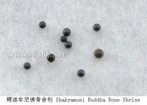 精选答案