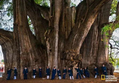 我的看法：可能只是心理作用吧…也许…