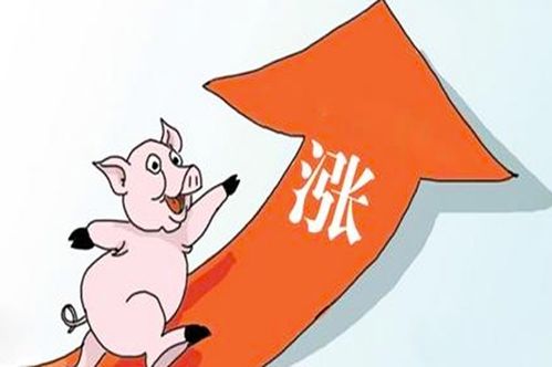 2026年4月6日安门日子是否适合，今日安门好吗？