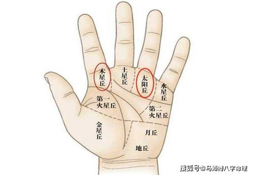 巨较大有钱的手相特征