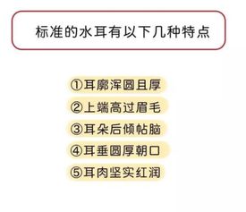 智商情商双高八字命理是怎样的？