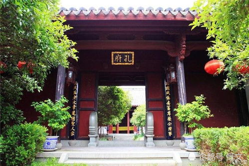 2026年龙年特别预测