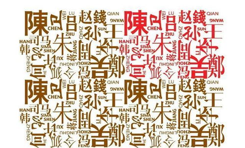 关于姓氏的选择