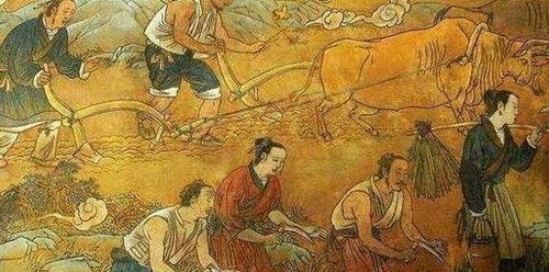 社会反响：全民吐槽大会