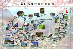 民俗体验：吃喝玩乐全包圆走累了吗？不要紧~我们能够边走边吃边看表演呀！林间散落着许更多古建筑呢——像极了一位位静候已久的老者。民俗活动更是精彩纷呈：扎染、剪纸、做糍粑...
