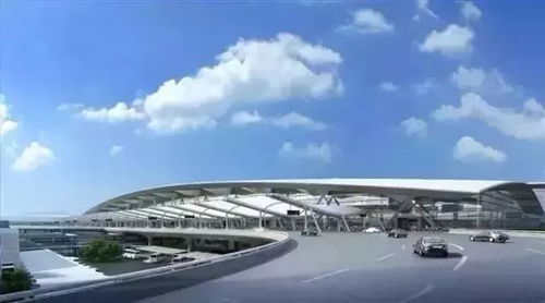 未来展望：科技的演变还是人性的回归？
