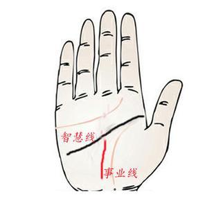 手相创始人手相算命图册哪里可以买到？
