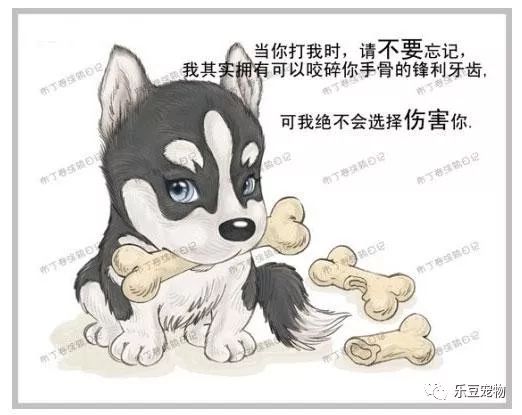 1-3 再说一下狗年的“较大问题”