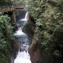 云顶山的惊魂72小时：一个差点回不来的旅行故事