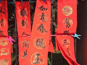 东莞除夕：古今交融，传统年味新潮流