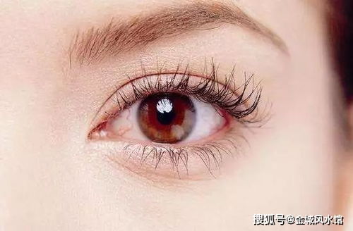 眼珠子发亮的人面相代表什么含义？