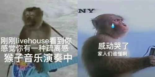 属猴人的机灵与躲闪