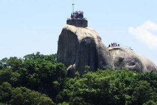 震惊！50块爬个破石头还被人当韭菜割？2026年去鼓浪屿的看完这篇再哭！