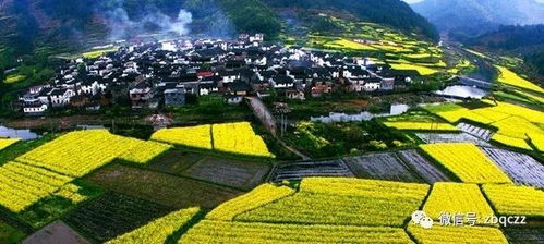 交通方式看心情选