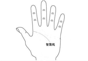 那手相呢？