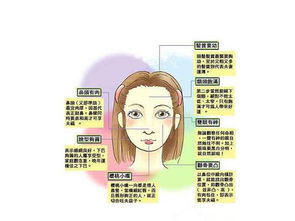 1. 脸盘子不能太尖也不能太圆！要像发面馒头！