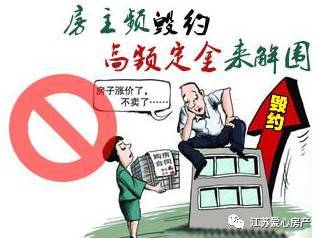 三、 游客如何在这场“混战”中全身而退：生存指南