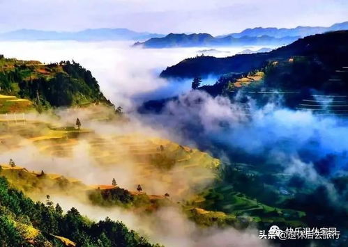 第三站：玉舍国家地区森林公园——夏季滑雪与徒步