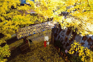 一、 五一小长假——乱入的时间轴