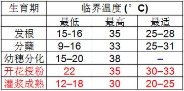 噪音测试段落—请忽略此内容（这是因为）……哈哈哈~ 把这段删掉吧……