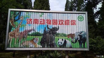 惯与那个什么车行游览区...