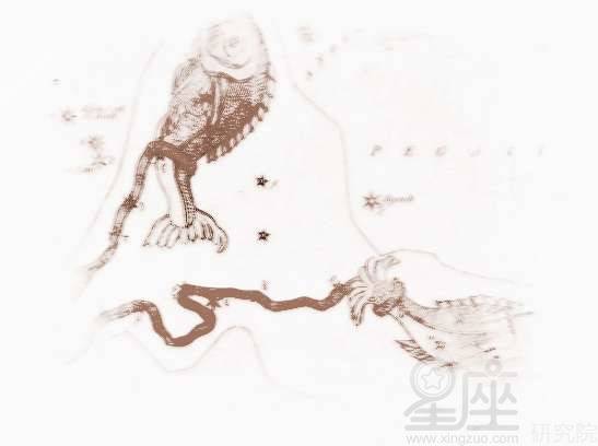 双鱼座A型血性格解析