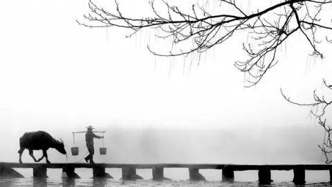 2026年黄历大曝光！不看后悔一辈子