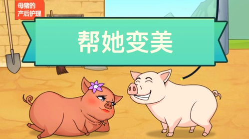 三、 实用推荐（较大乱斗版）
