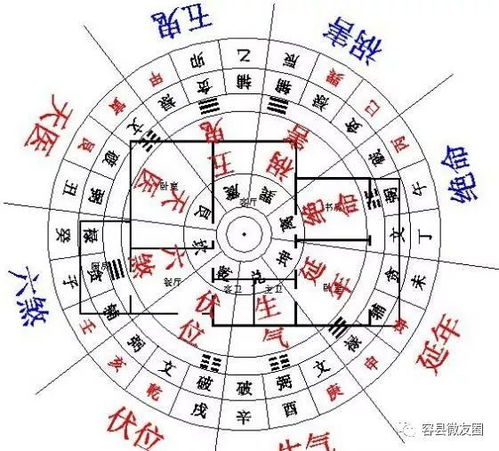 如何调整照片风水以改善屏幕摆放的风水效果？