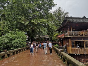 杨家较大院：岁月的沉淀与文化底蕴的传承