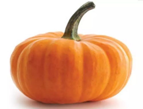 女人梦见南瓜藤结南瓜是什么征兆？预示着什么好事发生？