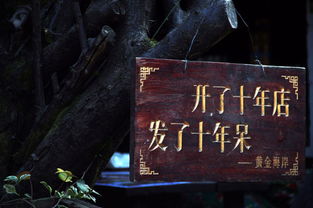 漫步星尘中的老墙——第一站：抚镇门（或许不是）