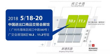 毛球大冒险：你家主子能hold住这场疯狂之旅吗？